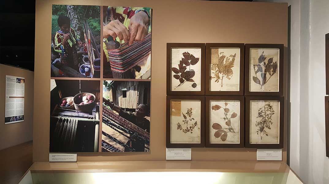 A Peek Inside The National Museum of Anthropology in Manila