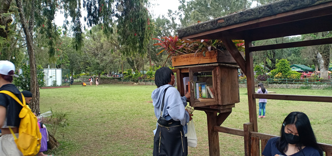 A person looking at  a selection of free books in the park