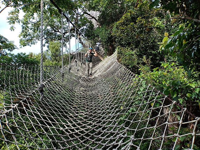 A rope net bridge where you can see through how high you are from the ground and be swayed by winds